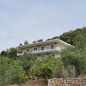 Bodini's Himare